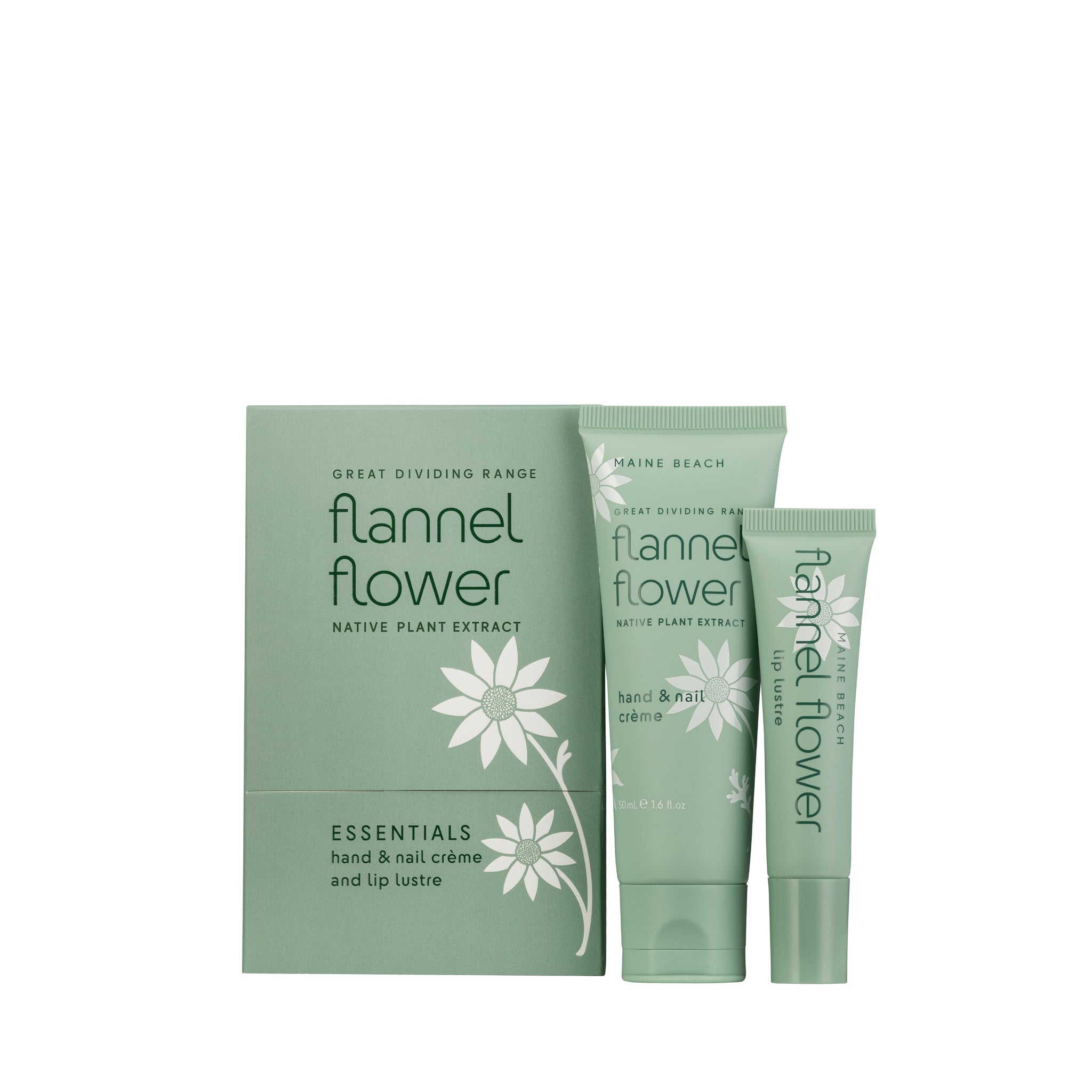 Flannel Flower Essential Pack