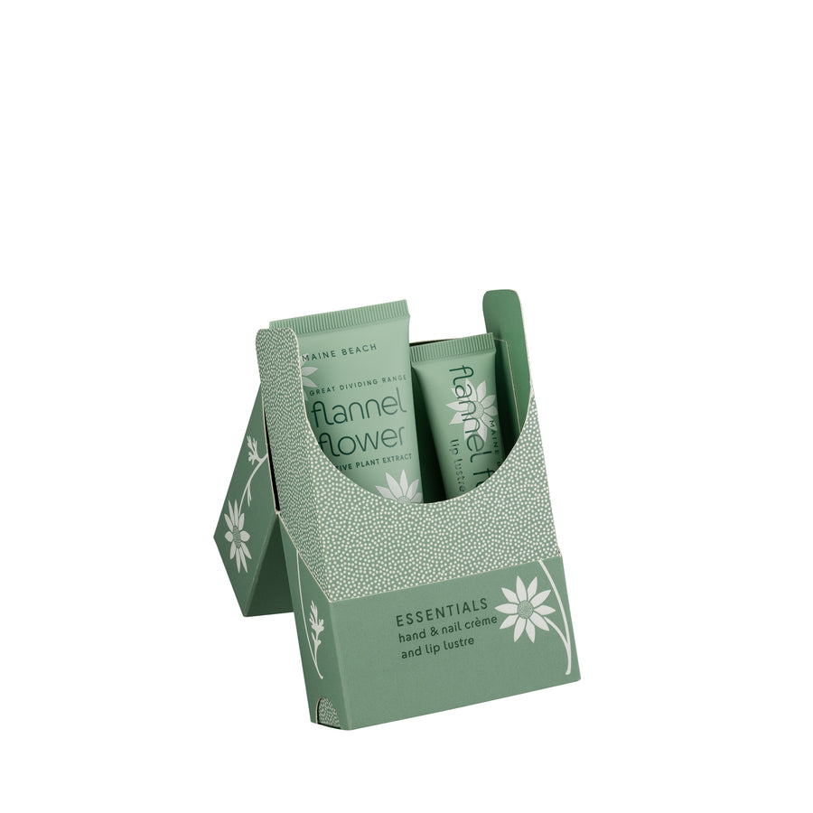 Flannel Flower Essential Pack